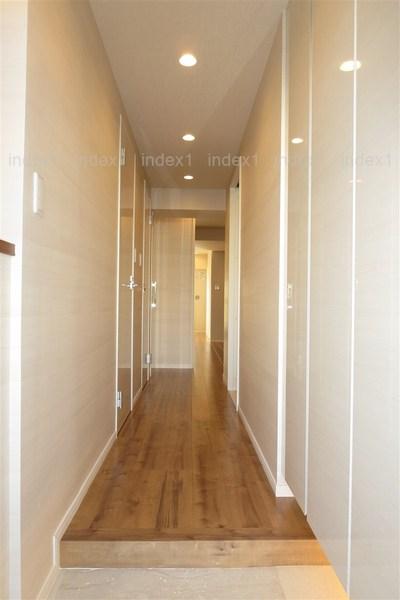 Entrance. Storage was also fulfilling entrance