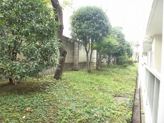 Setagaya-ku, Tokyo Kaminoge 2