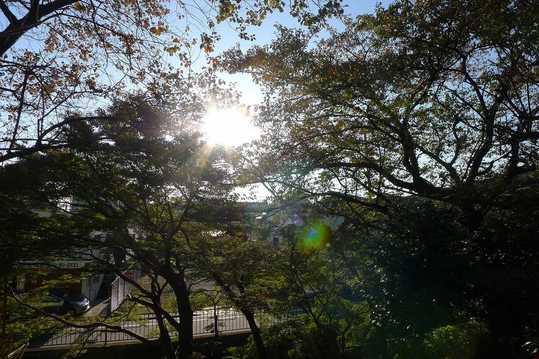 View photos from the local. View photos (2013 November 16 shooting)