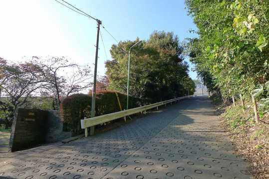 Local photos, including front road. Front road (2013 November 16 shooting)