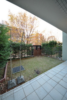 Garden. terrace