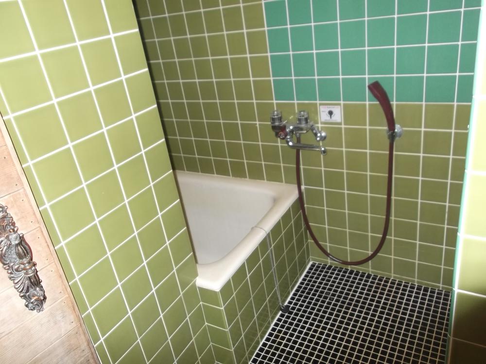 Bathroom. Indoor (10 May 2013) Shooting