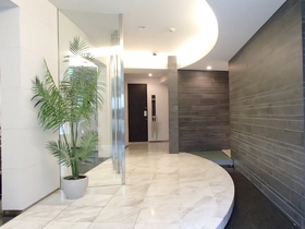 Entrance. Feeling of luxury entrance