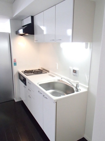 Kitchen. Stylish gas system Kitchen