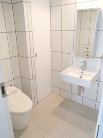 Toilet. Cleaning feature with toilet seat