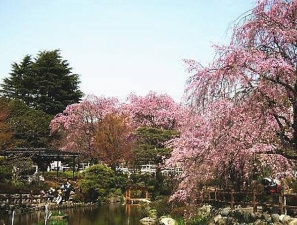 Streets around. 500m to the periphery of the city skyline Umagotooyakesono