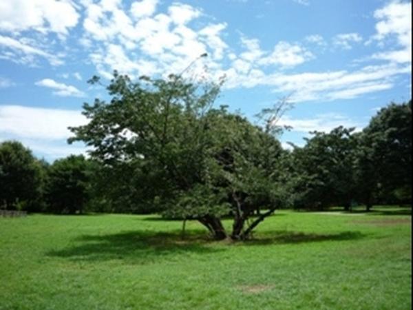 Streets around. 700m to the periphery of the city skyline Kinutakoen