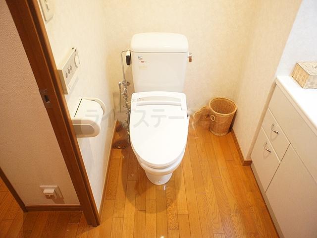 Toilet. Local (November 25) shooting