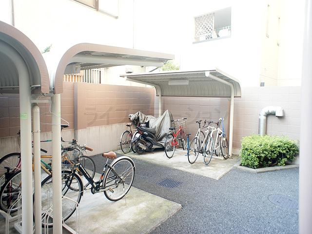 Parking lot. Common areas