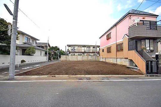 Local land photo. appearance