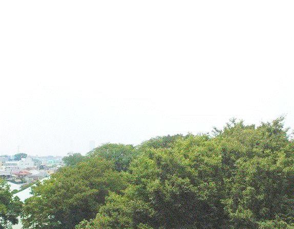 View photos from the dwelling unit