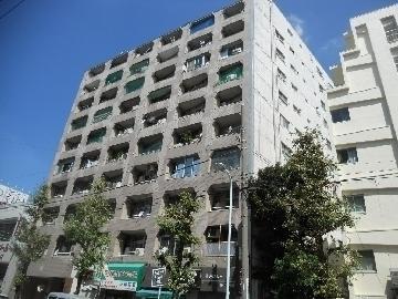 Local appearance photo. Wakabayashi High Home Building B