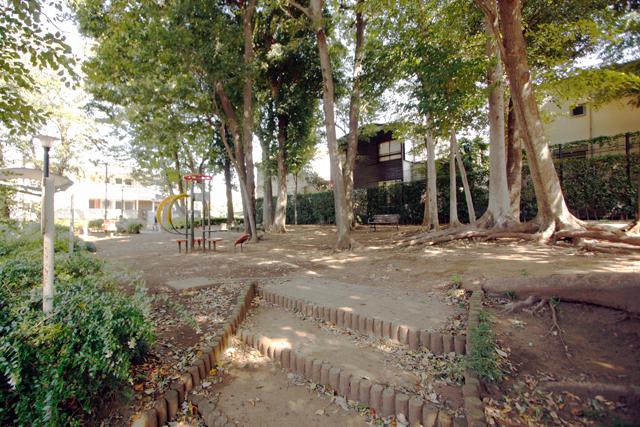 park. Fukasawa parkland up to 100m