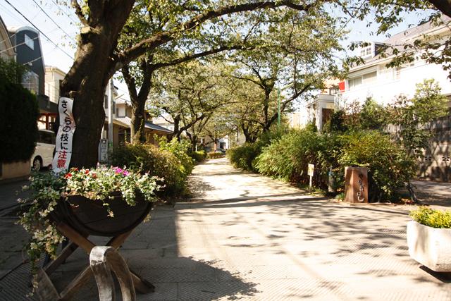 Streets around. 呑川 green road 200m to Yanagibashi