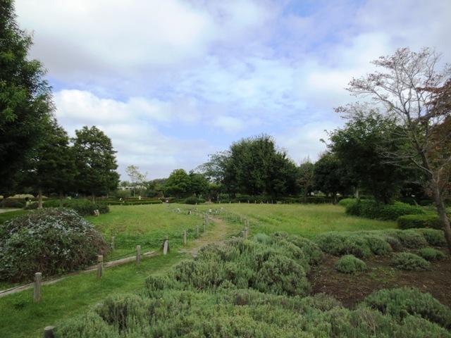 Other. Kitami Fureai Square (about 550m)