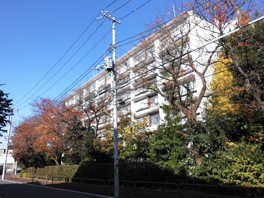 Setagaya-ku, Tokyo Minamikarasuyama 2