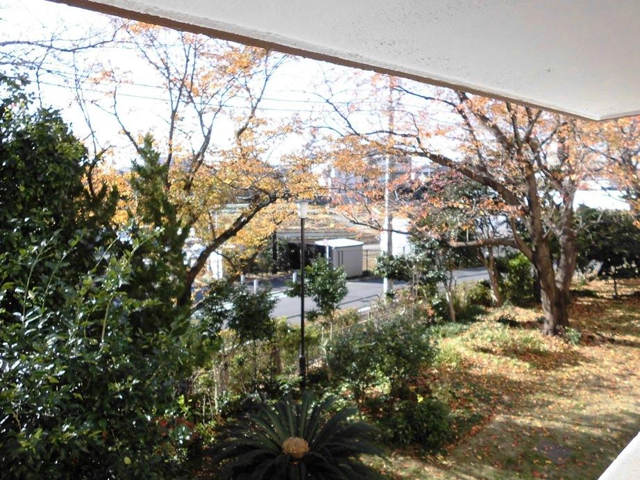 Setagaya-ku, Tokyo Minamikarasuyama 2