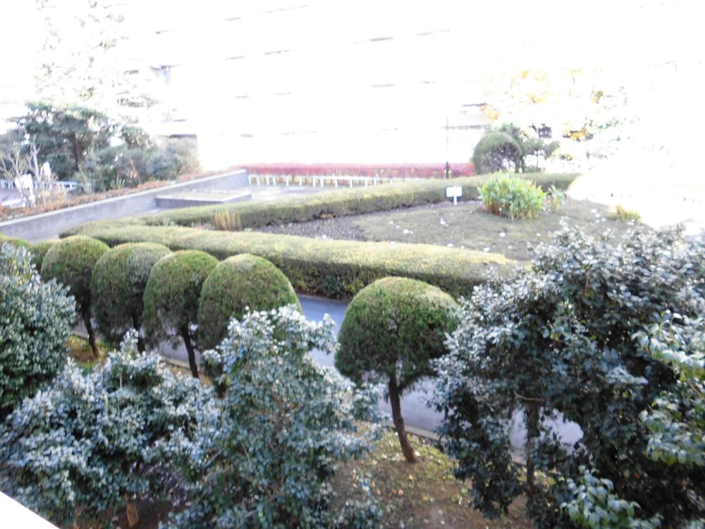 Setagaya-ku, Tokyo Minamikarasuyama 2