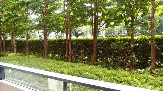 Local appearance photo. View from the balcony