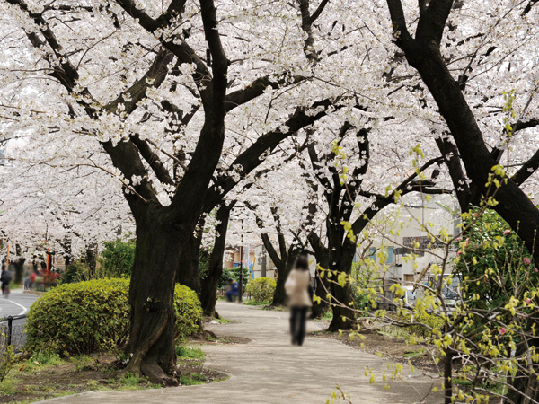 Surrounding environment. Osan River green road (about 930m / A 12-minute walk)