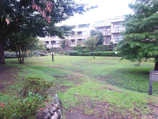 Other. To There is also a park near.