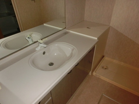 Washroom. Vanity waterproof bread