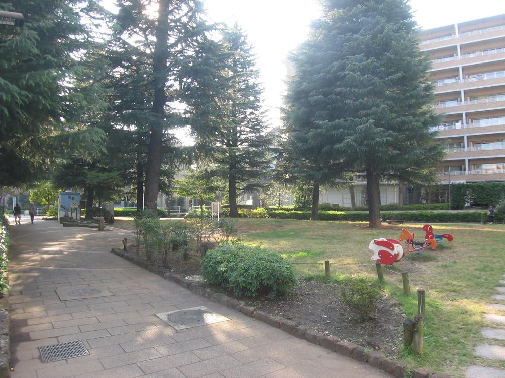 Other. From local 70m, Walking Square