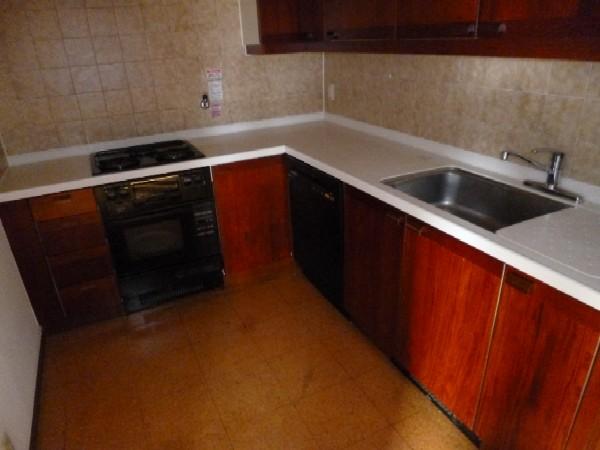 Kitchen. Indoor (12 May 2013) Shooting