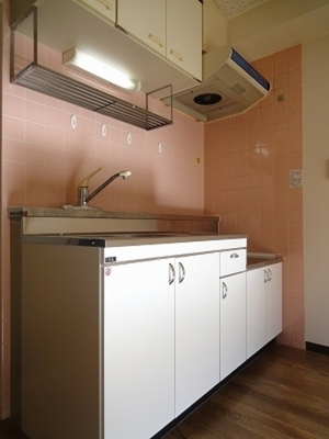 Kitchen. Sink spread