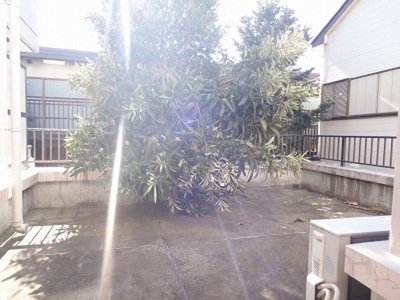 Balcony. roof balcony