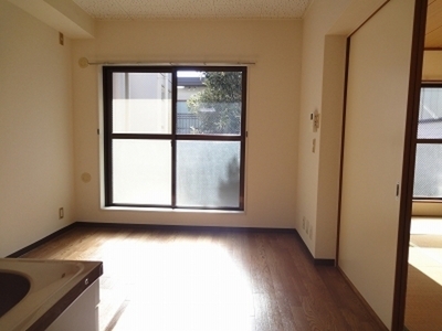 Living and room. South-facing sunny