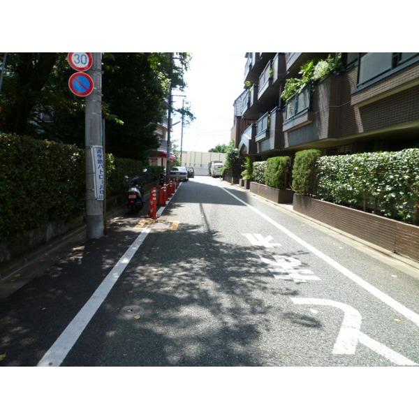 Other introspection. Frontal road