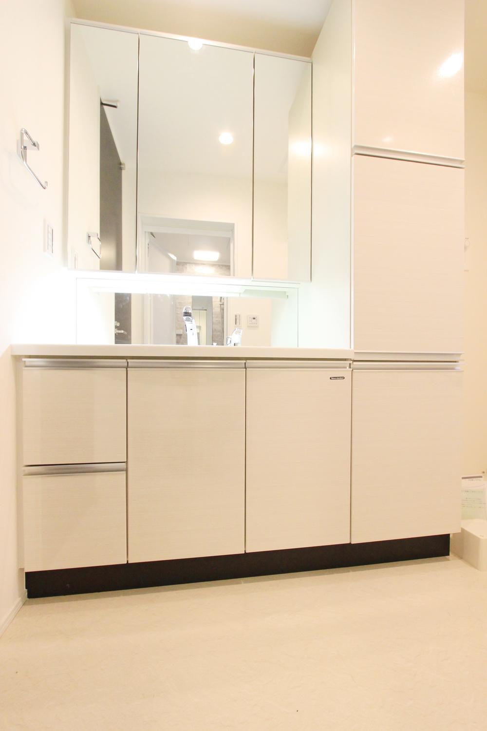 Wash basin, toilet. System shampoo dresser basin ball-integrated counter