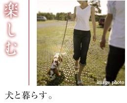 Other. Holiday morning, Along with the dog to "Komazawa Olympic Park.". Enjoy along with the dog of a friend in the daytime is in the park dog run. The city also has been enhanced many dog cafes and pet shops are people who have a dog.