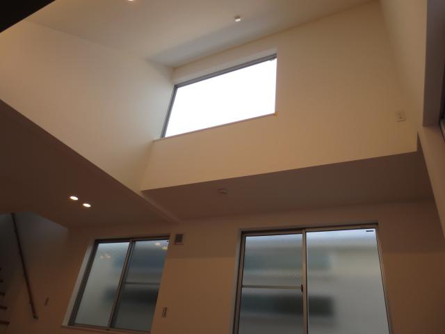 Other introspection. Blow-by