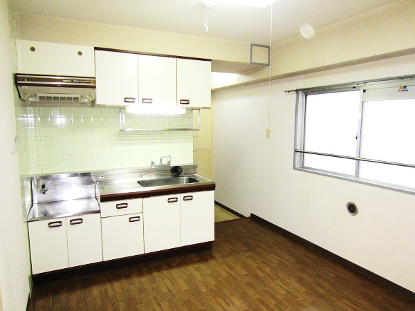 Kitchen. Bright kitchen with two faces lighting