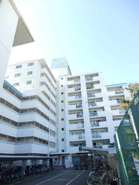 Other local. Local (11 May 2013) Shooting