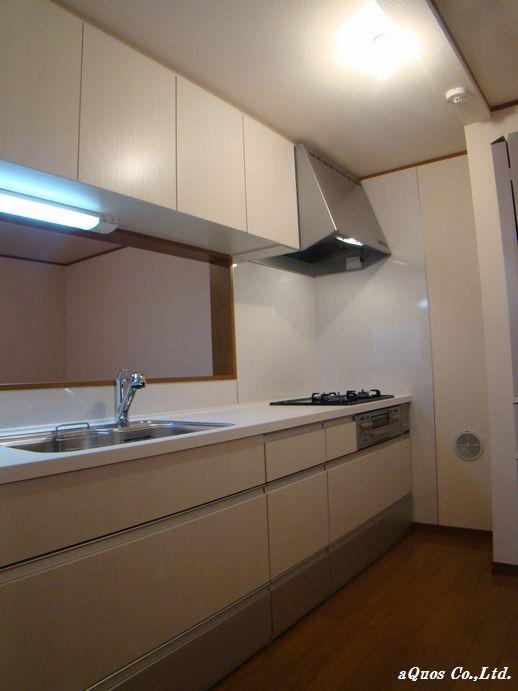 Kitchen. Indoor (12 May 2013) Shooting