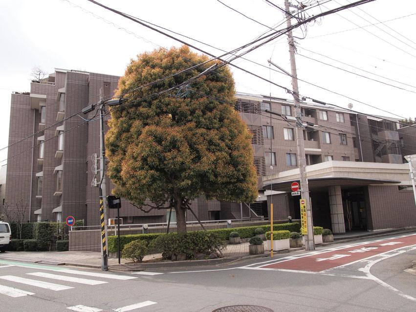 Local appearance photo