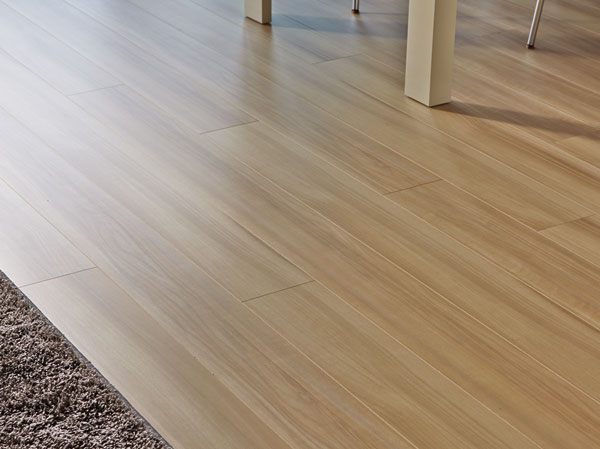 Other.  [TES hot water floor heating] It employs a hot-water floor heating to warm in the cozy warmth of Zukansokunetsu. Wind wound up the dust does not pollute without indoor air. (living ・ dining)