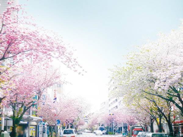 Surrounding environment. "Sakurashinmachi" Station of tree-lined streets (about 320m / 4-minute walk)