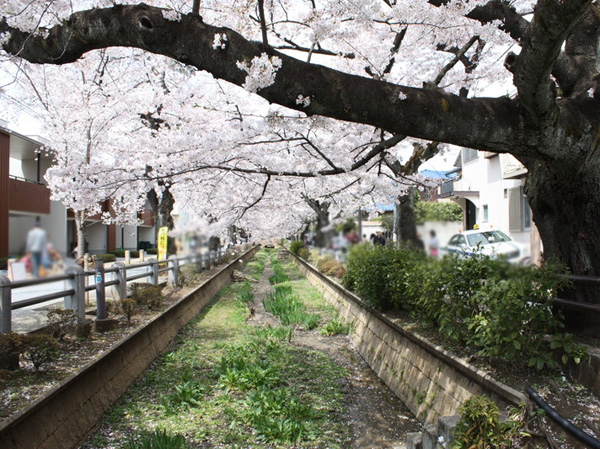Surrounding environment. 呑川 water park (about 940m / A 12-minute walk)
