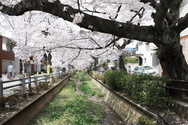 呑川 water park (about 940m)
