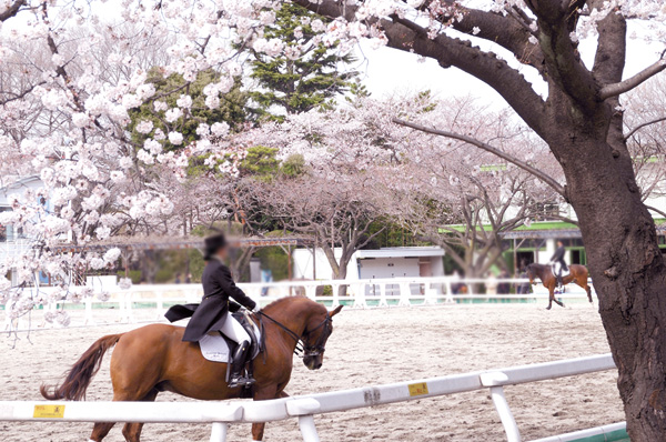 Umagotooyakesono (about 850m)