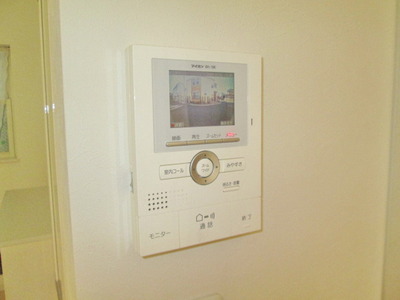 Security. TV monitor phone