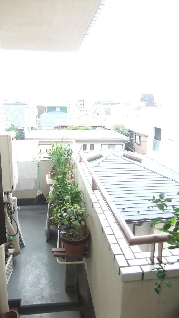 Balcony. Japanese-style room south balcony