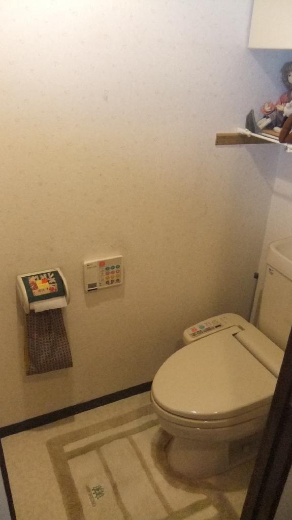 Toilet. Multi-function toilet It is essential