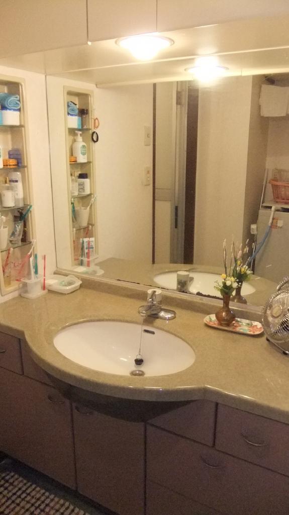 Wash basin, toilet. Large washbasin, Plenty of storage