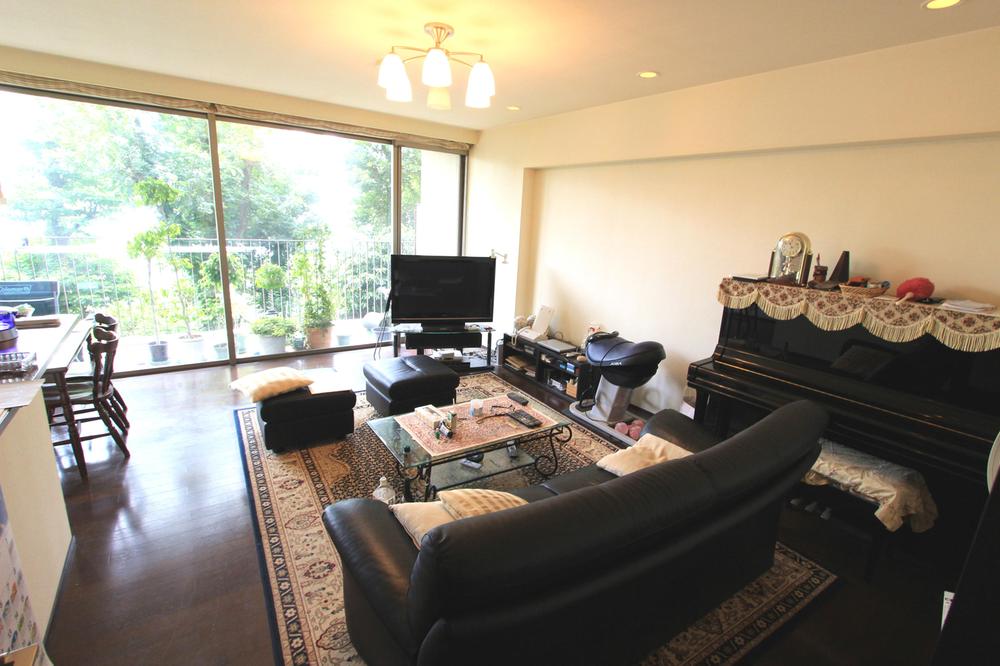 Living. Sunny living room