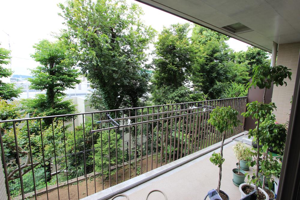 View photos from the dwelling unit. Lush scenery from the balcony